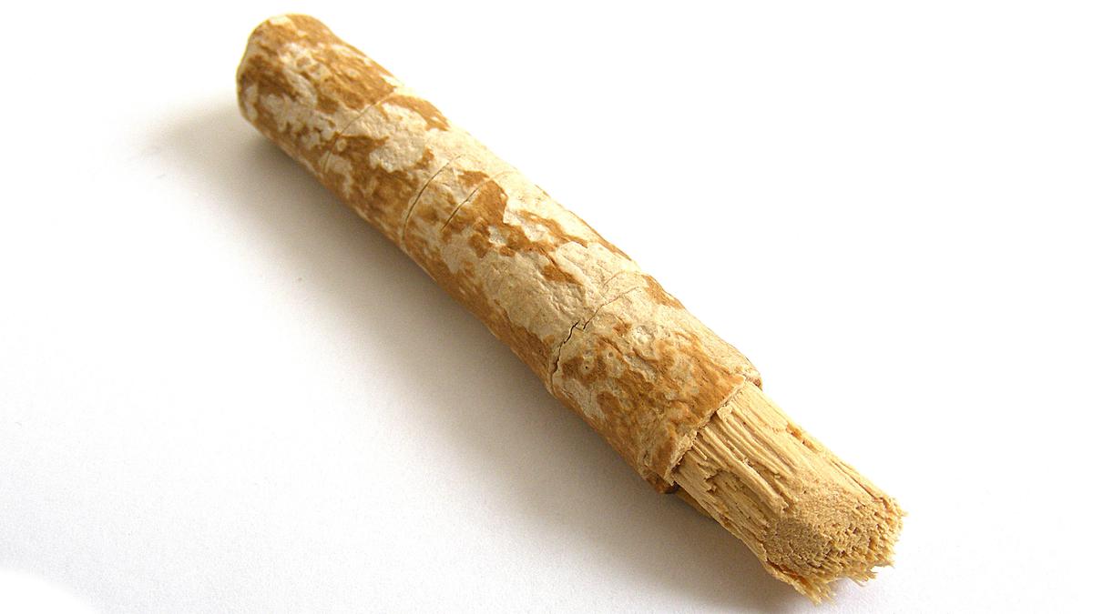 siwak adalah